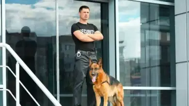 XRM-Security_Security-Dogs_02-840x562-1
