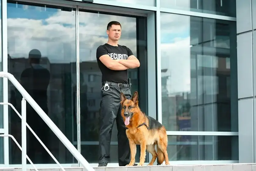 XRM-Security_Security-Dogs_02-840x562-1